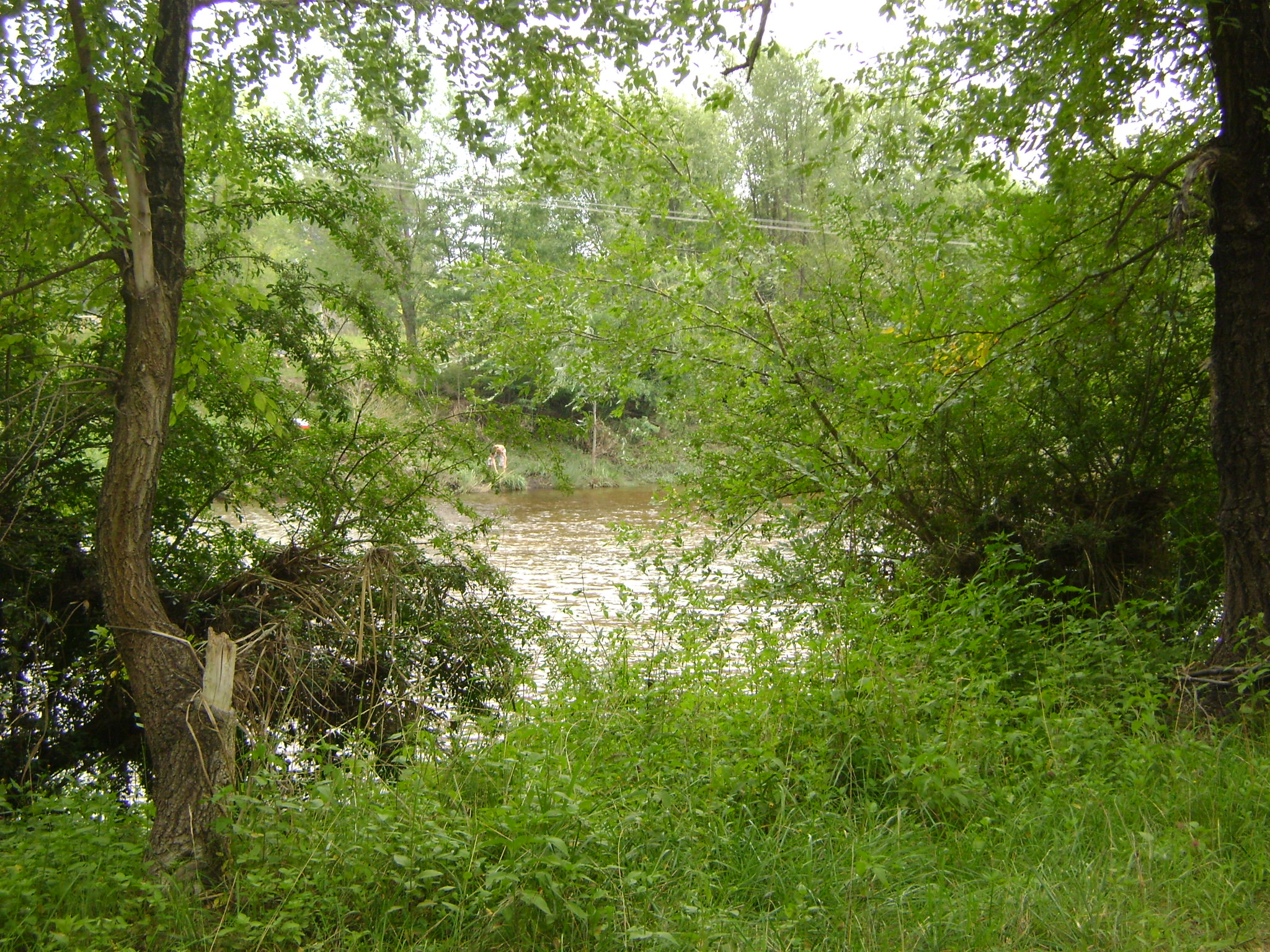 fotos/2011 - Los Reartes/DSC03242.JPG